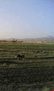 روستای ده نصیر