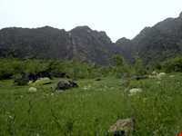 روستای پیرامام