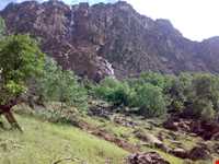 روستای پیرامام