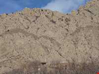 Aras Sistan protected area