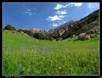 Aras Sistan protected area