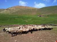 Aras Sistan protected area