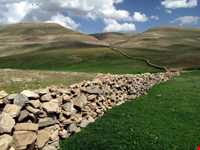 Aras Sistan protected area