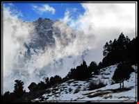 Aras Sistan protected area