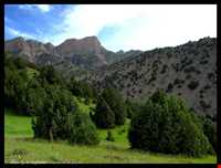 Aras Sistan protected area