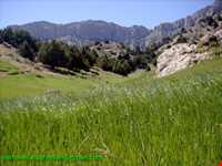 Aras Sistan protected area