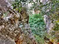 آبشار بالی قایه