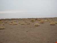 Dagh Sorkh Desert