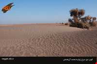 Dagh Sorkh Desert