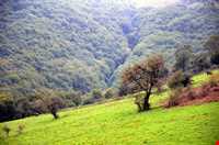 گردنه حیران آستارا