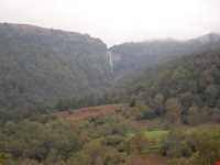 پناهگاه حیات وحش لوندویل