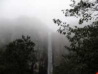 پناهگاه حیات وحش لوندویل