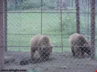 پناهگاه حیات وحش لوندویل