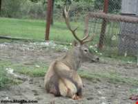 پناهگاه حیات وحش لوندویل