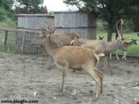 پناهگاه حیات وحش لوندویل