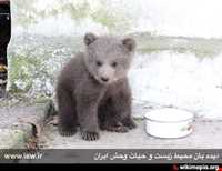 پناهگاه حیات وحش لوندویل