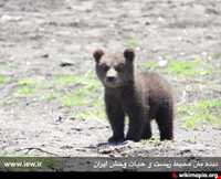 پناهگاه حیات وحش لوندویل