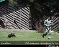 پناهگاه حیات وحش لوندویل