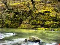 روستای کوته کومه