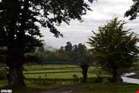 روستای کوته کومه