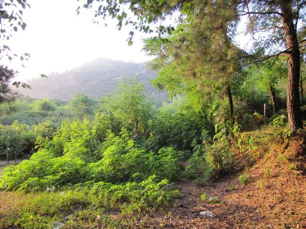 Bibi Lou natural park