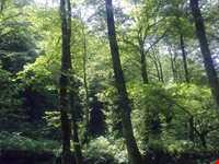 Bibi Lou natural park