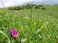 Bibi Lou natural park