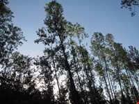 Bibi Lou natural park