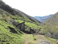 Bibi Lou natural park