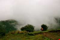 Bibi Lou natural park