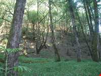 Bibi Lou natural park