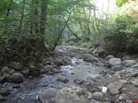 Bibi Lou natural park