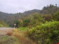 Bibi Lou natural park