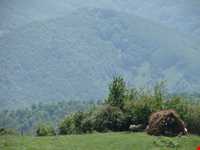 Bibi Lou natural park