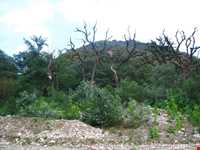 Bibi Lou natural park