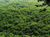 Bibi Lou natural park