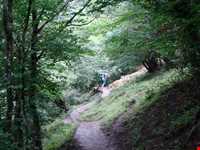 Bibi Lou natural park