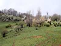 Bibi Lou natural park