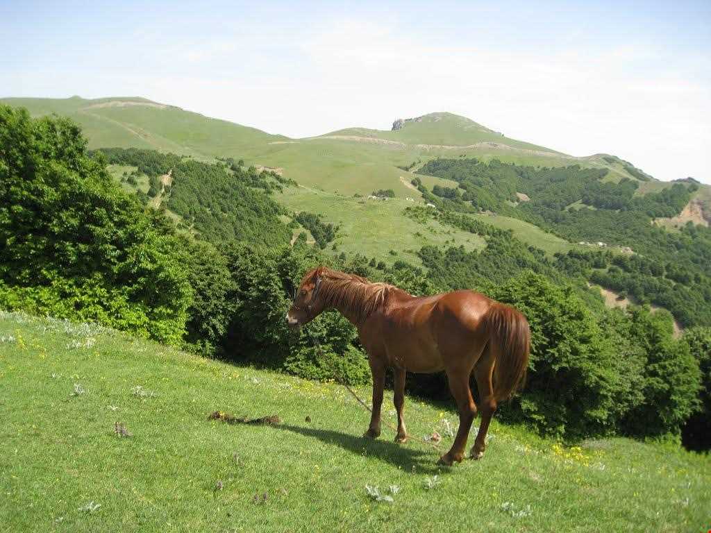 قله اسپیناس