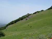 قله اسپیناس