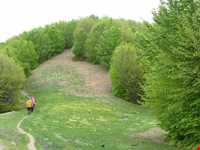 قله اسپیناس