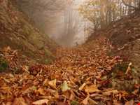 قله اسپیناس