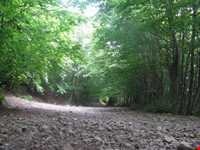 قله اسپیناس