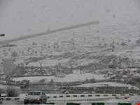 shahid beheshti park