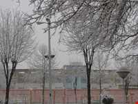 shahid beheshti park