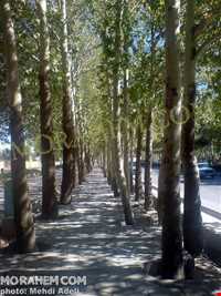 shahid beheshti park