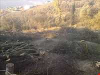 روستای کلشتر