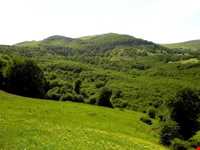 روستای کلشتر