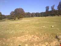 روستای کلشتر