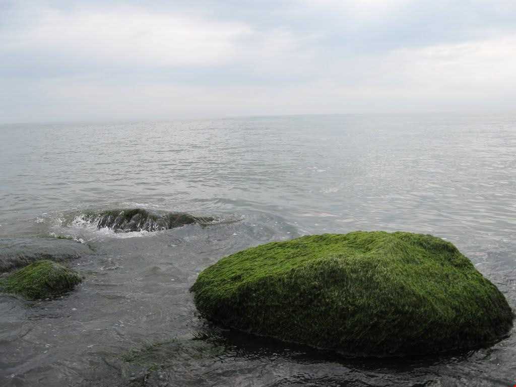 پارک ساحلی شریعتی ( مخیری )